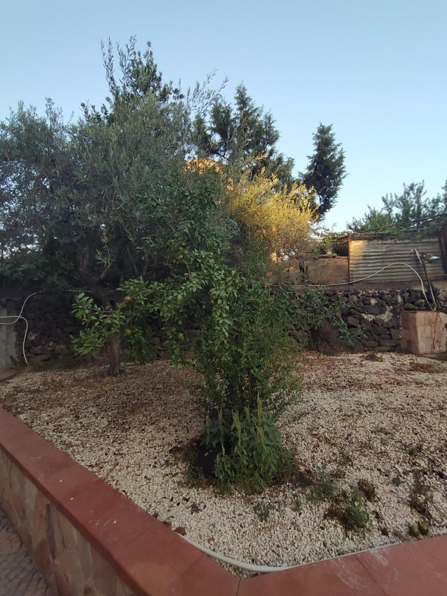 Orazio House Appartement Catane